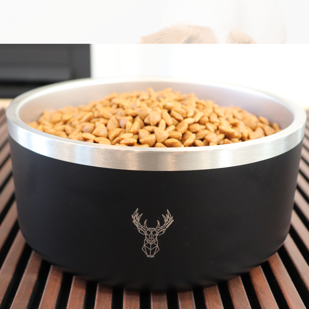 Insulated stainless steel pet food bowl with double walls