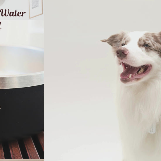 Stainless steel double-walled pet bowl with non-slip base, ideal for pets,Double-walled insulated pet food bowl for cats and dogs