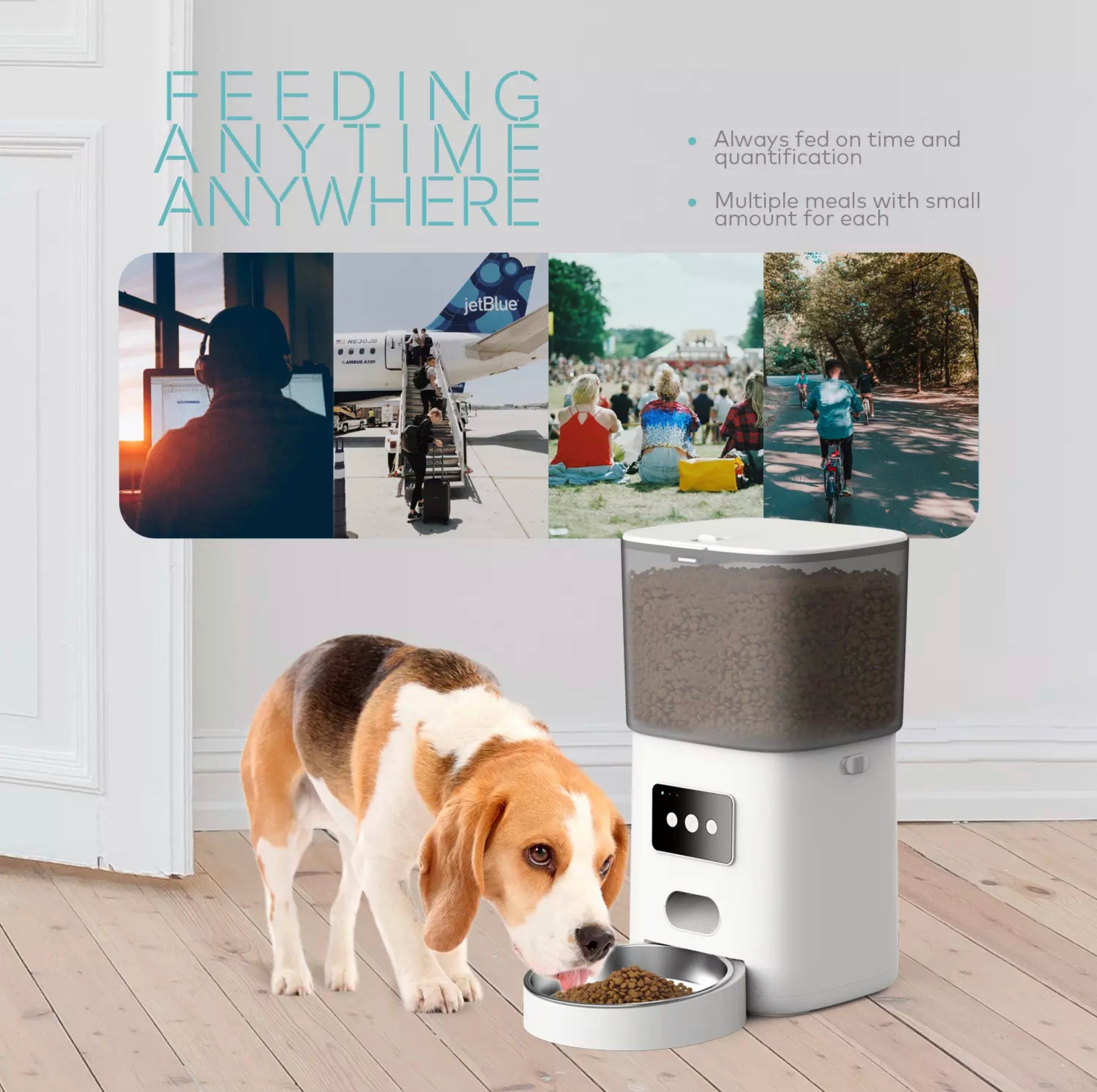 Pet feeder with replaceable desiccant box for moisture-free, fresh food storage